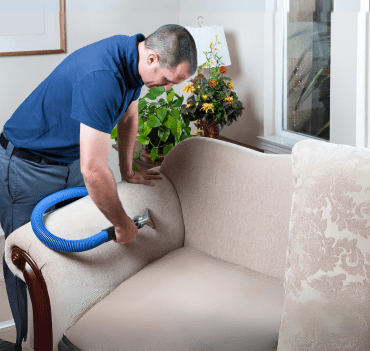 Furniture Cleaning